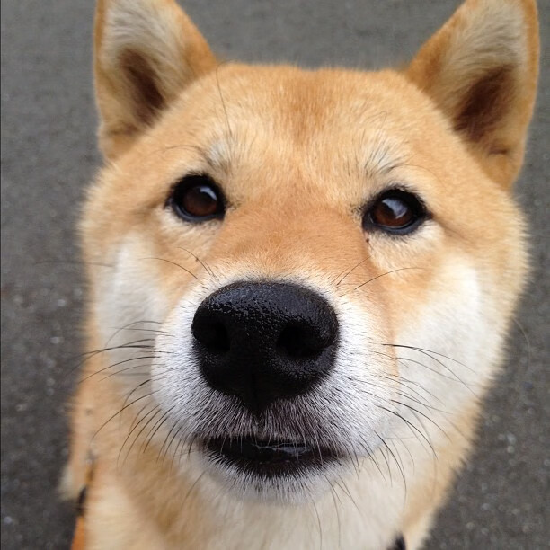 开云真人娱乐官网-国足备战2022年世界杯,时间还长着呢,国足22年世界杯预选赛